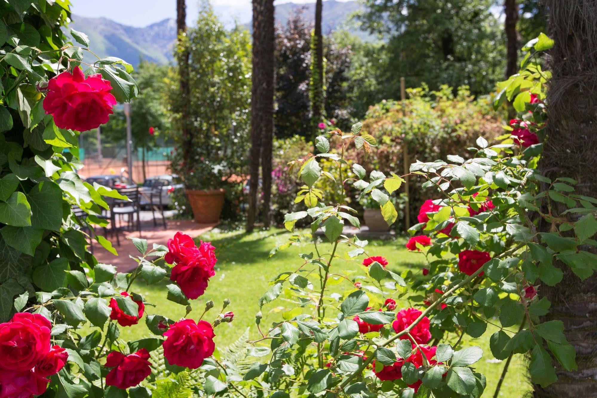 Aparthotel Al Lago Locarno Exterior photo